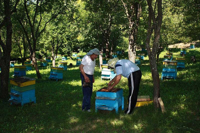Пчелари от Асеново